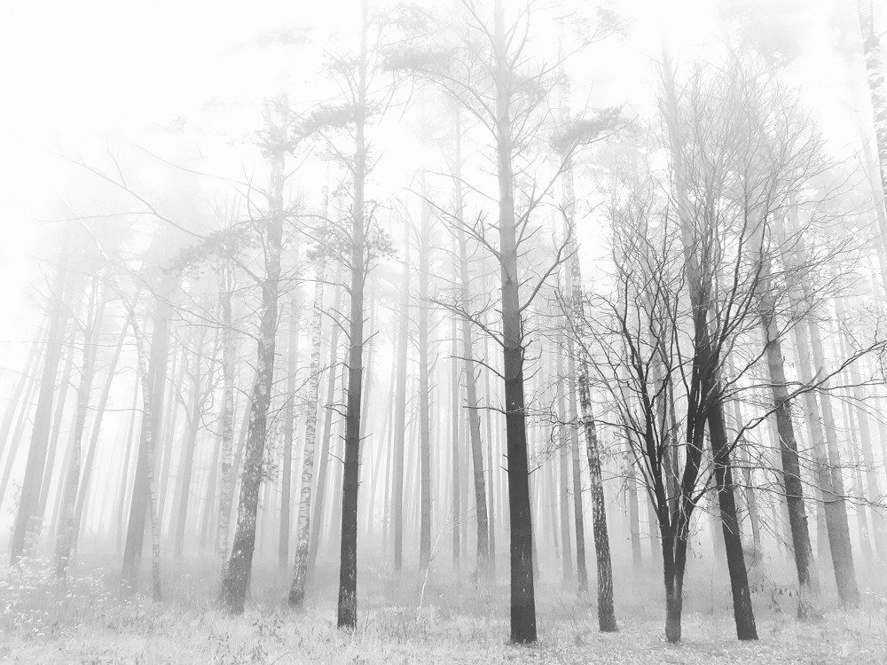 Photograph by Вячеслав Ульянёнок