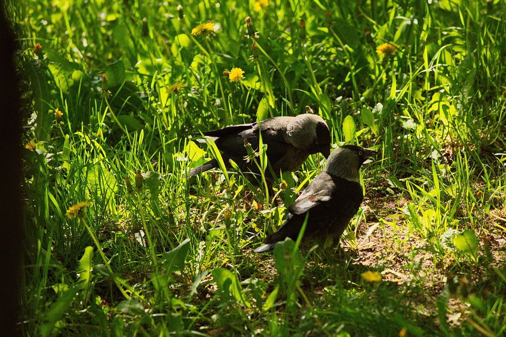 Photograph by Олег Раков