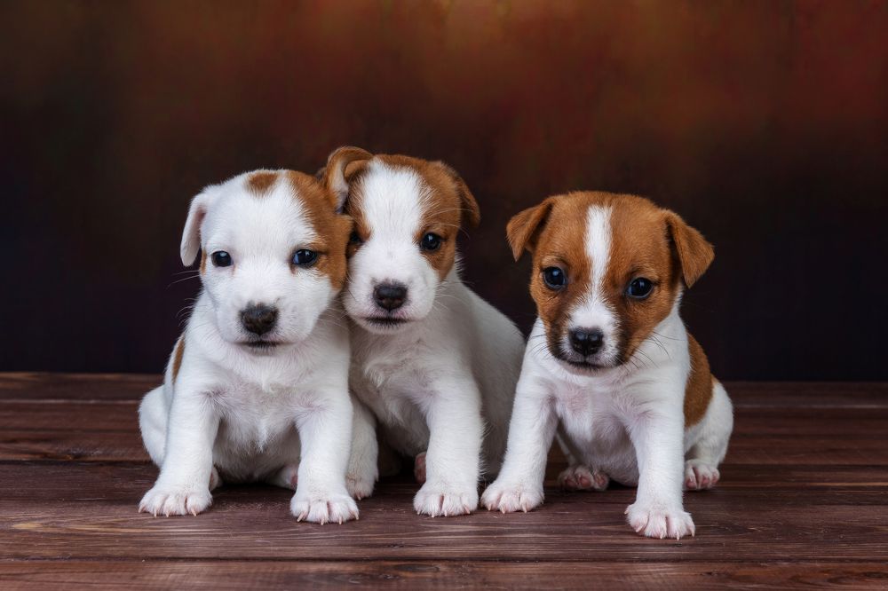 Photograph by Ирина Бобрешова