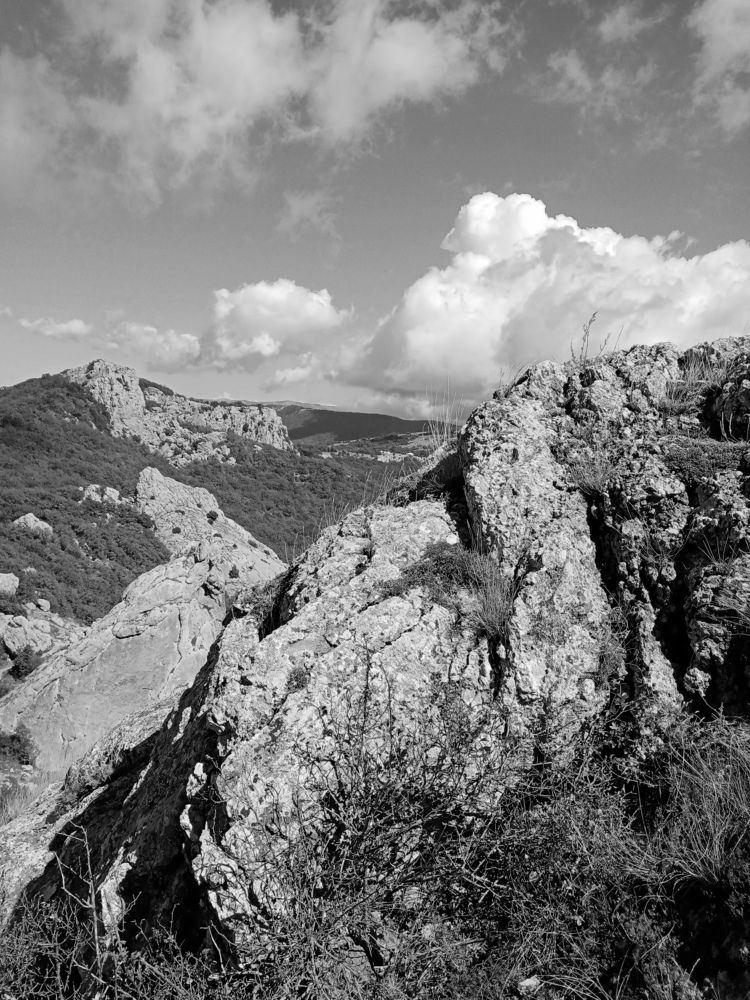 Photograph by Жанна Иванисенко