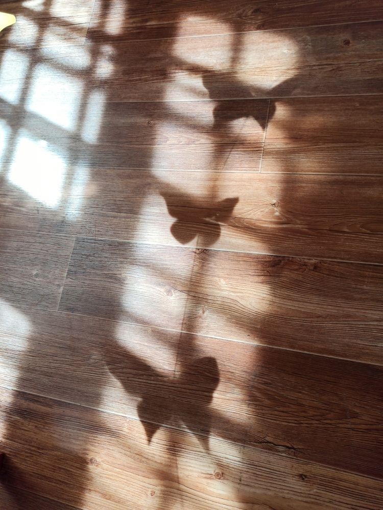 Photograph by Алеся Маклакова