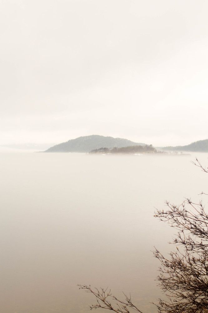 Photograph by Антон