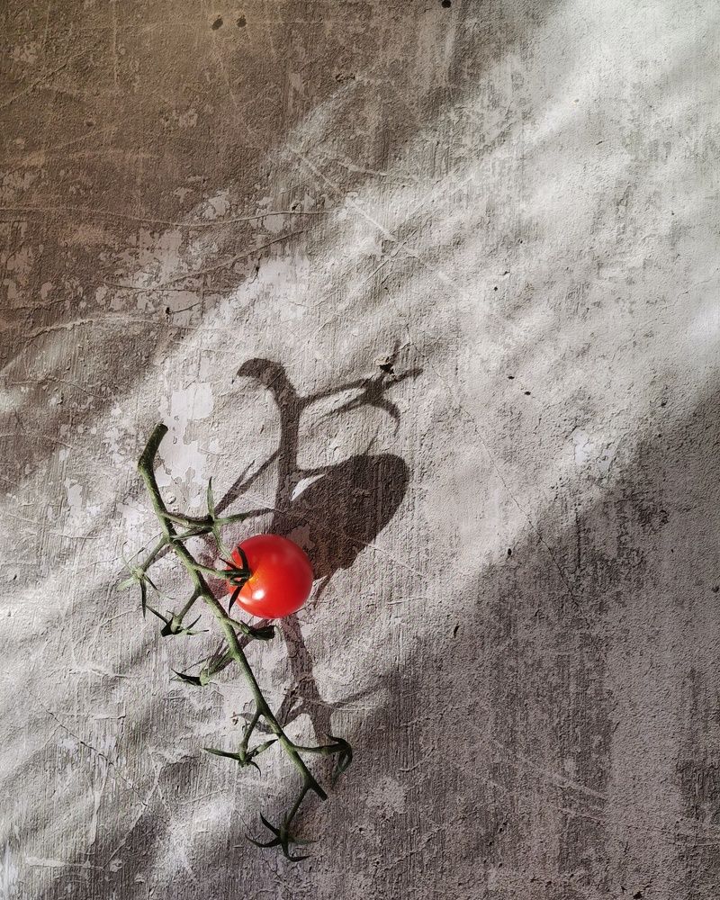 Photograph by Надежда