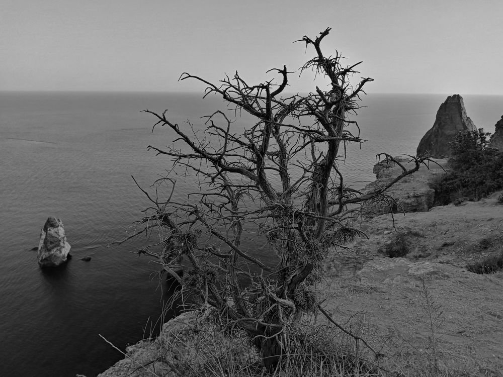 Photograph by Жанна Иванисенко