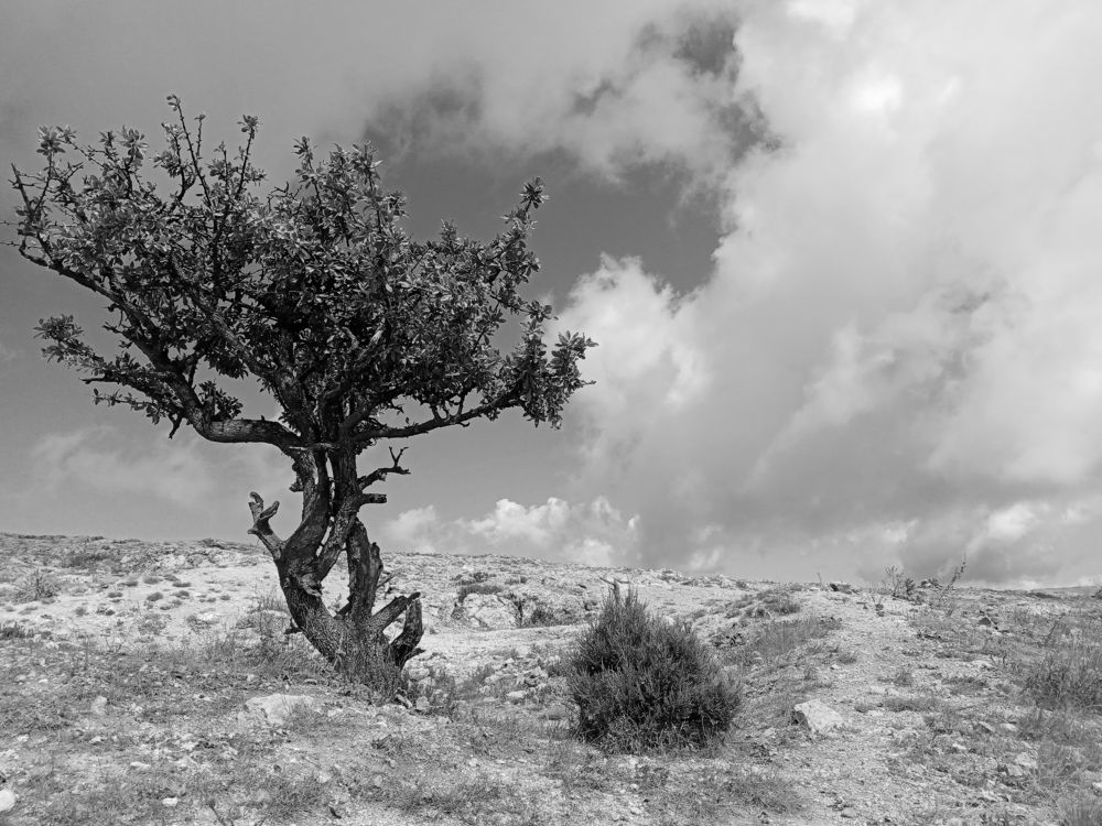 Photograph by Жанна Иванисенко