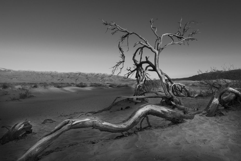 Photograph by Dmitry Samoylin