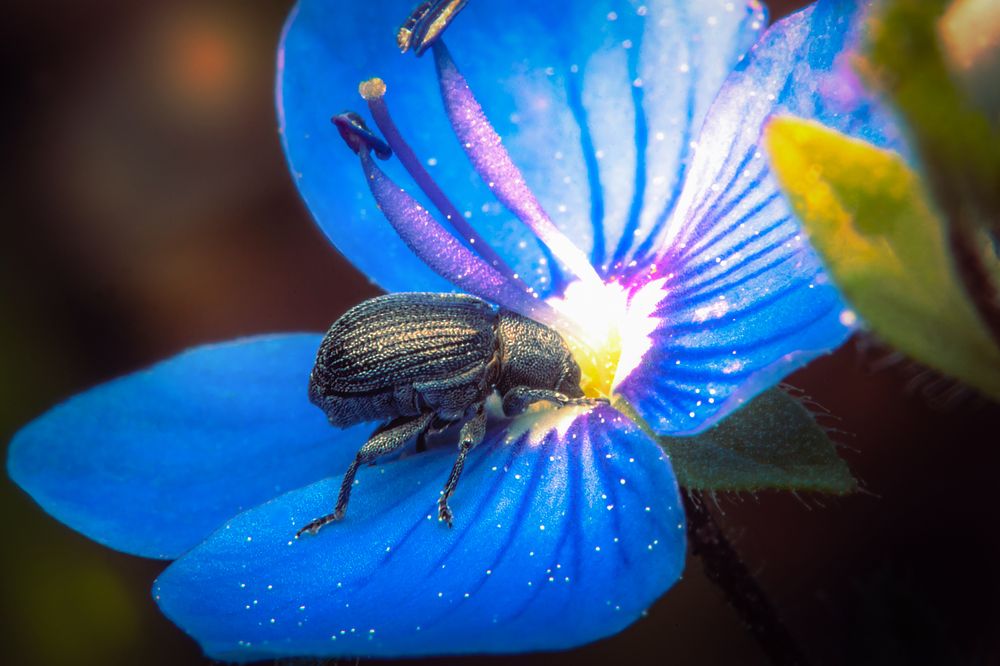 Photograph by Парфентьев Антон