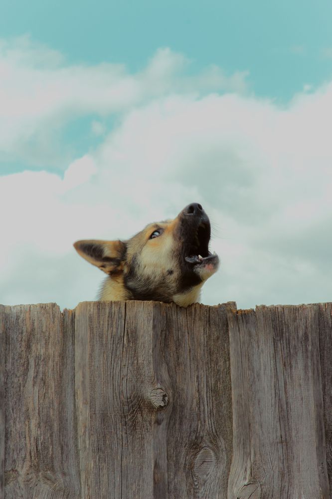 Photograph by Ангелина Карелина