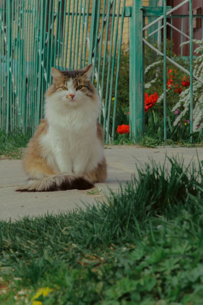 Photograph by Ангелина Карелина