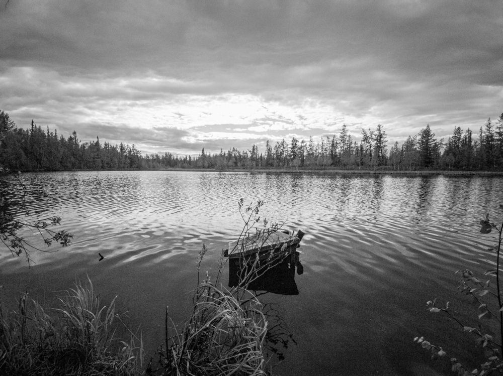 Фотография автора Мария Черница