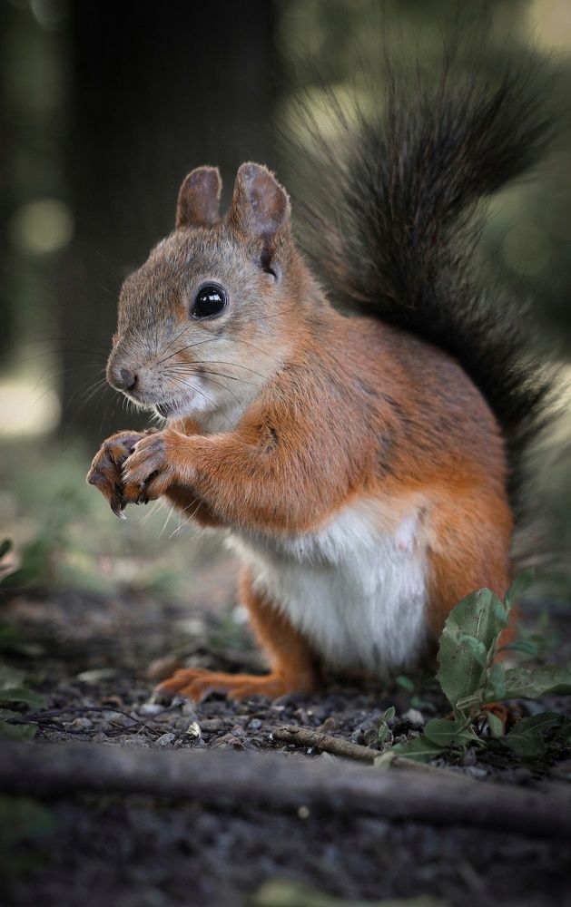 Photograph by Екатерина Кицмен