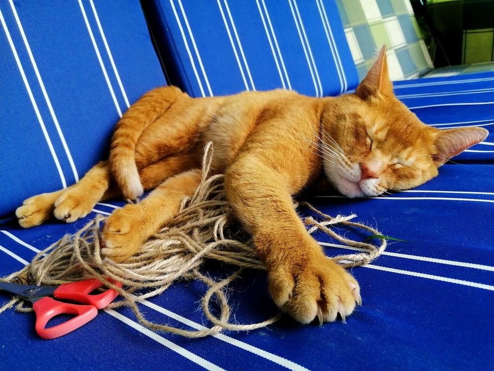 Photograph by Светлана Веселовская