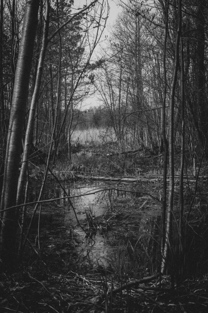 Photograph by Ангелина Карелина