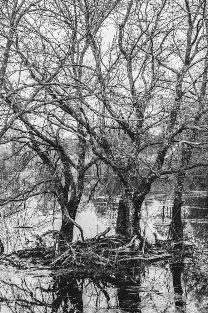 Photograph by Ангелина Карелина