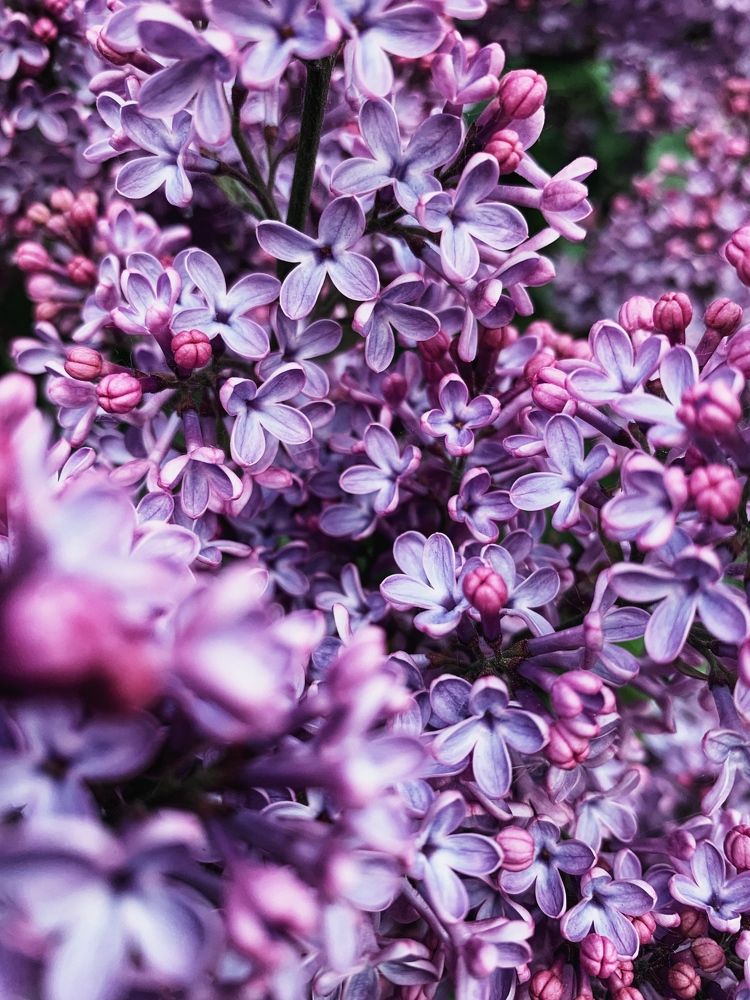 Photograph by Юля Курдова