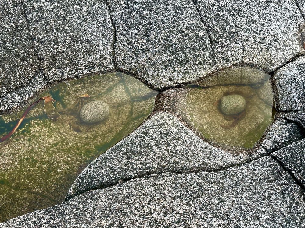 Фотография автора Юлия Шумейко