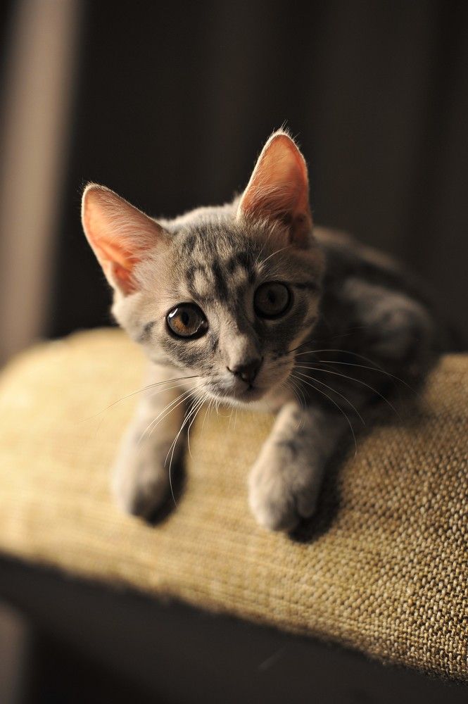 Фотография автора Ольга Пушленкова