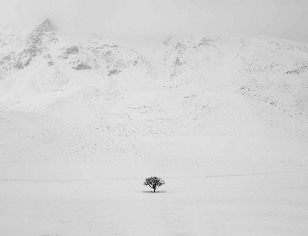 Photograph by Riahi Hosein