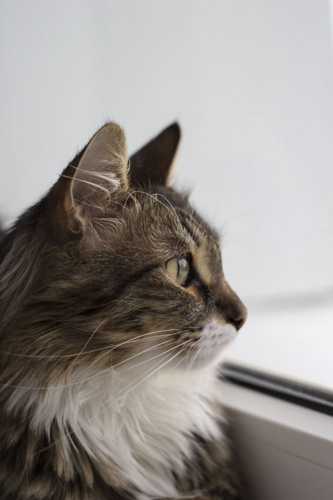 Фотография автора Артём Пышкин