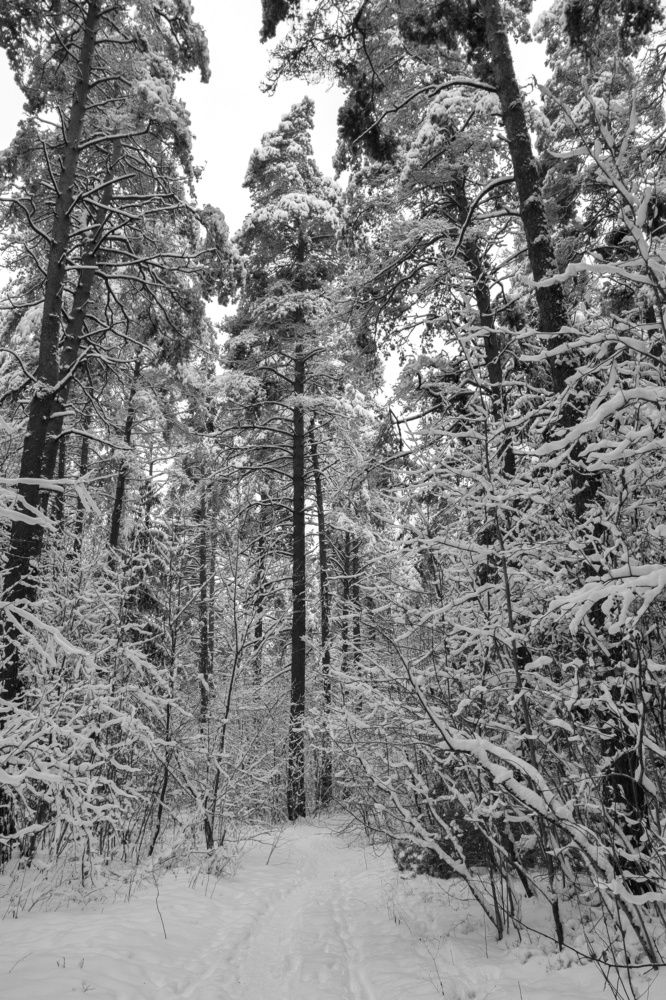 Photograph by Владислав Барышов