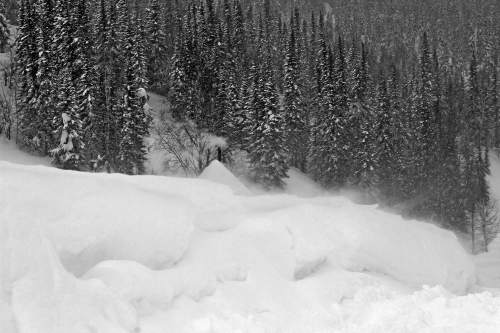 Photograph by Рашид Шайдулин