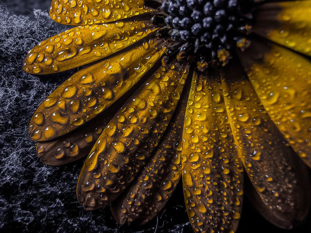 Picture of the year 2022