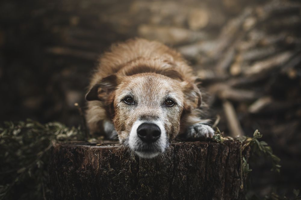 Photograph by leticia pascual garcia