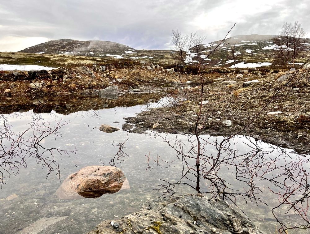 Фотография автора Юлия Шумейко
