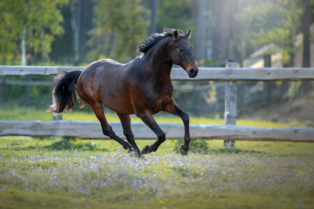 Photograph by Светлана Писарева