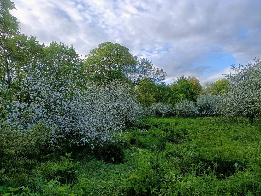 Photograph by Виктор Поляков