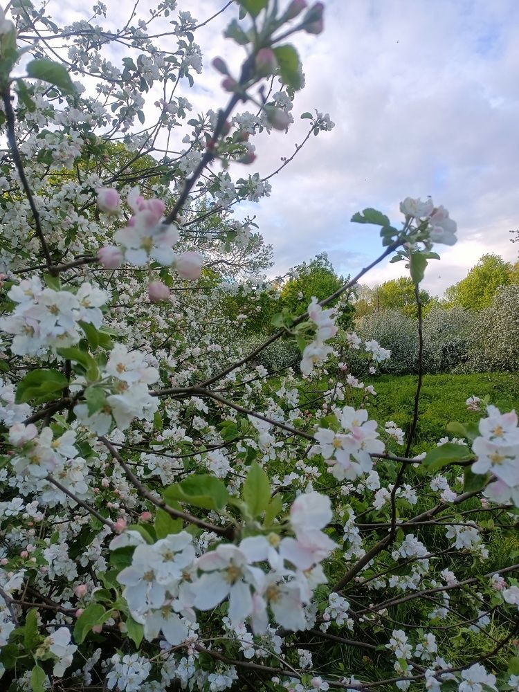 Photograph by Виктор Поляков