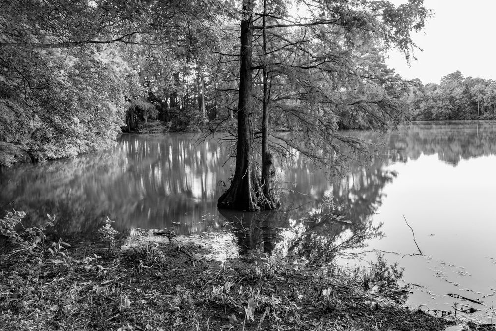 Photograph by Ilya Tikhaev