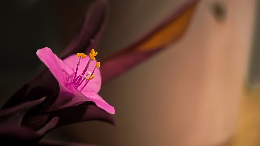 Journey from darkness to brightness