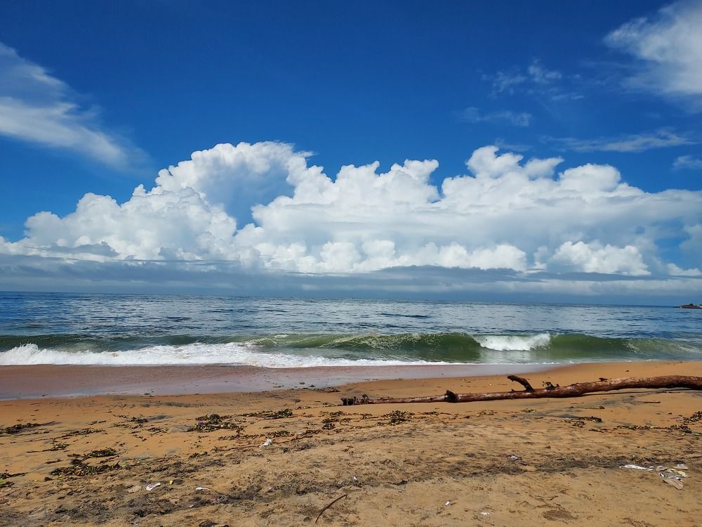 Photograph by Sajan S