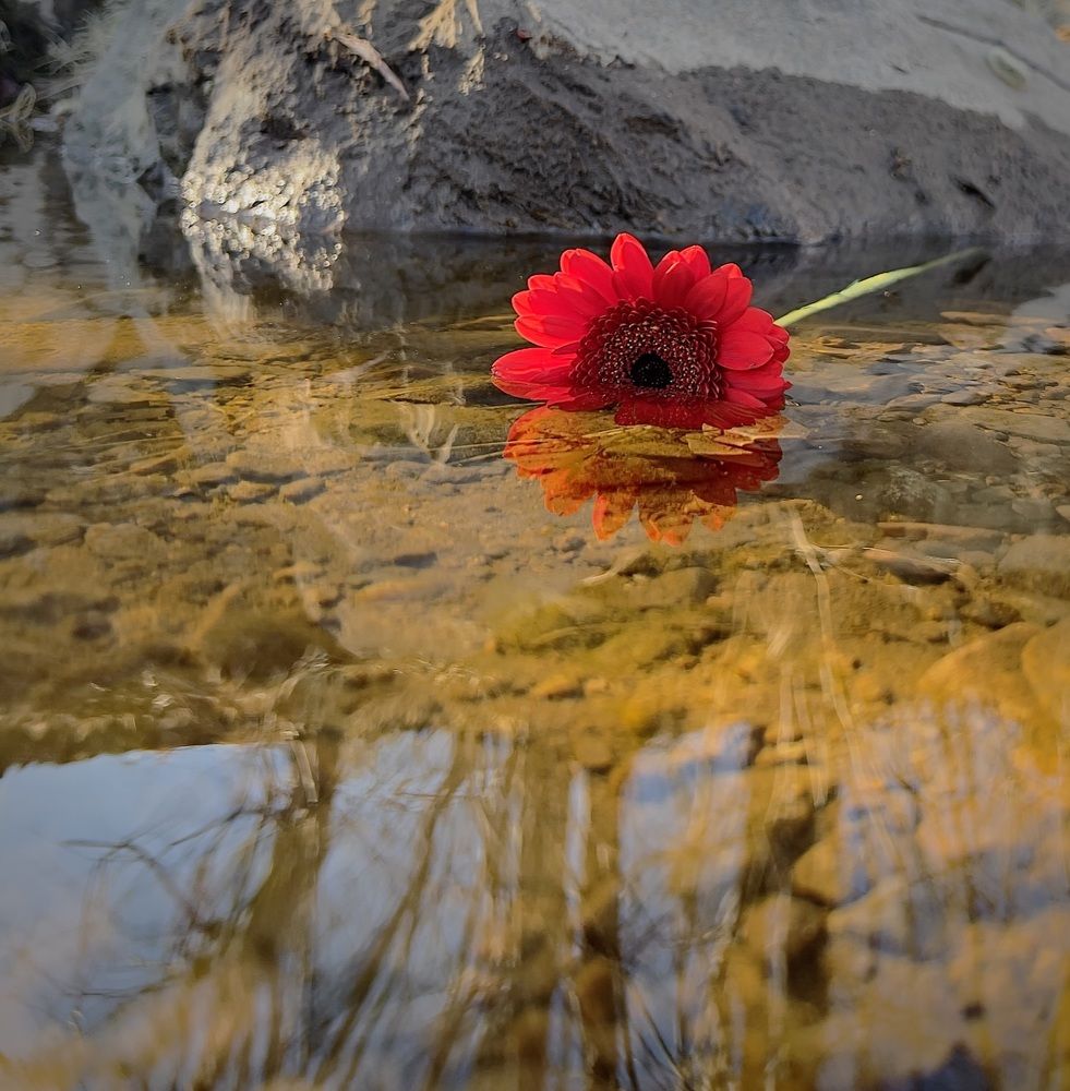 Photograph by Елена Мизина