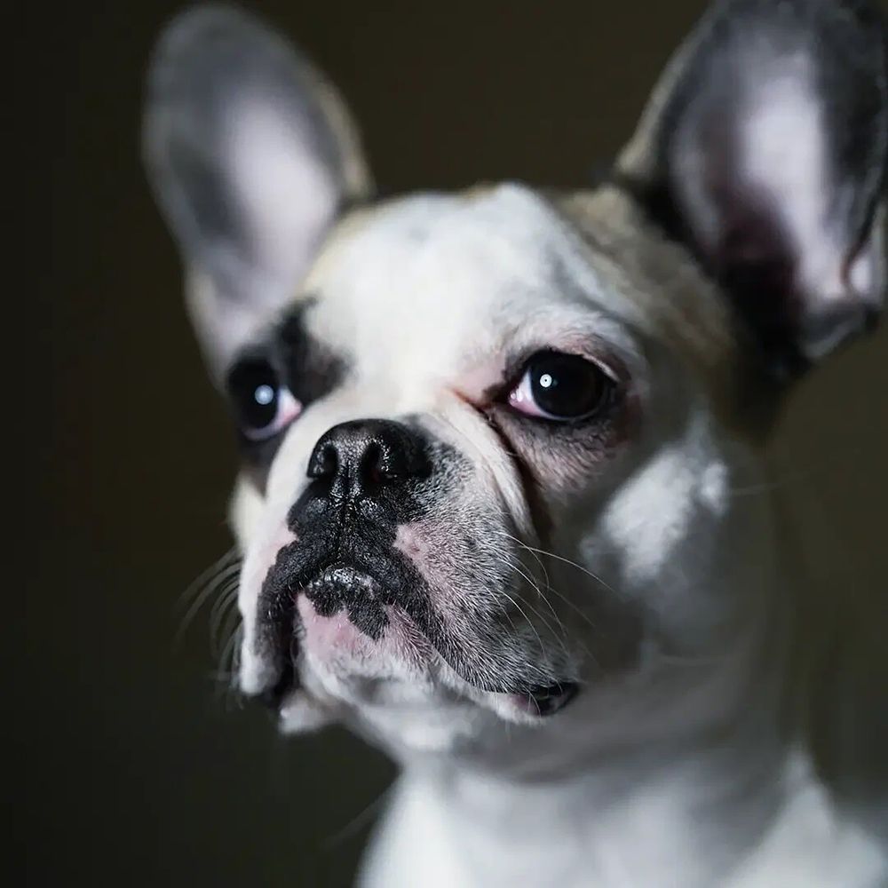 Photograph by Ольга Беспалько