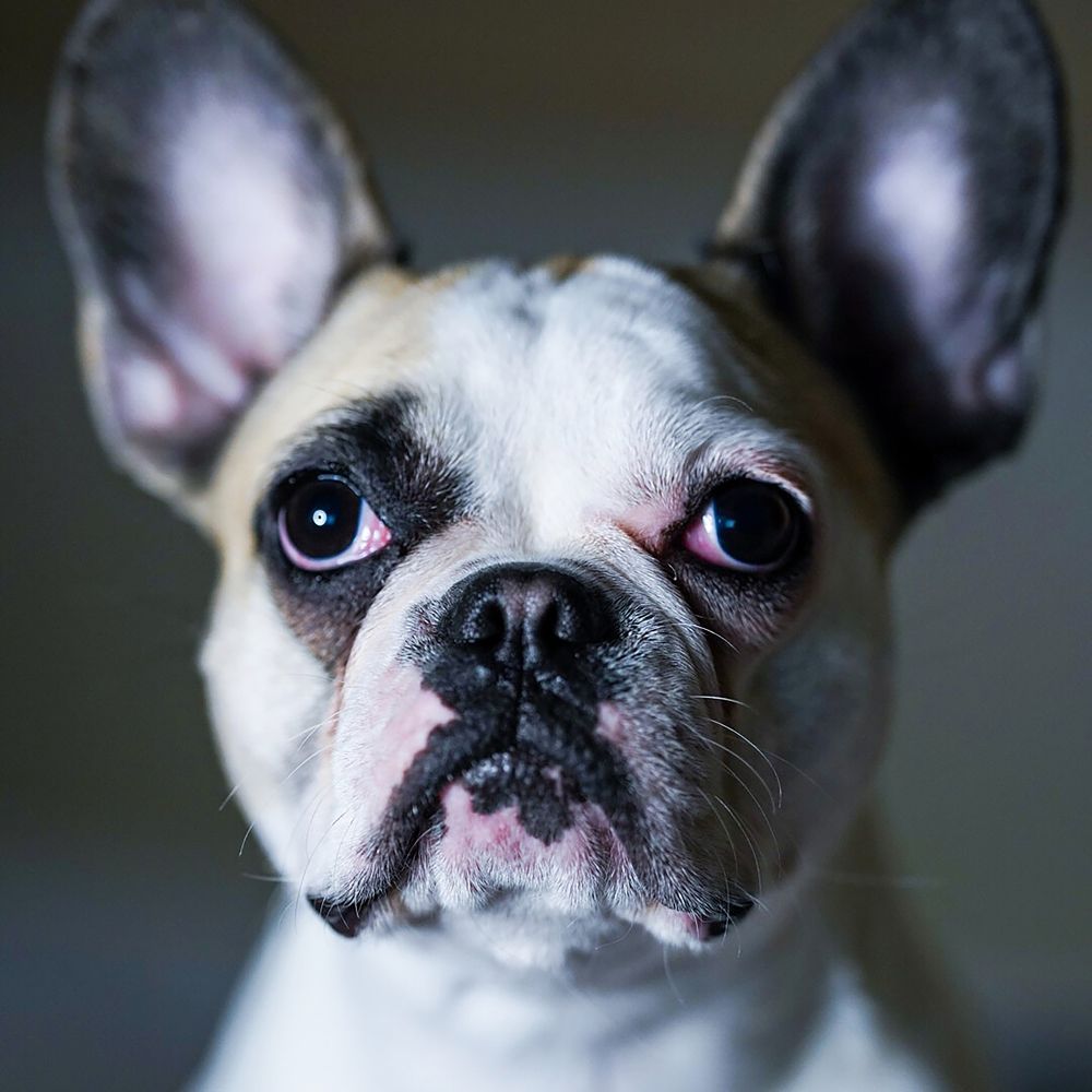 Photograph by Ольга Беспалько