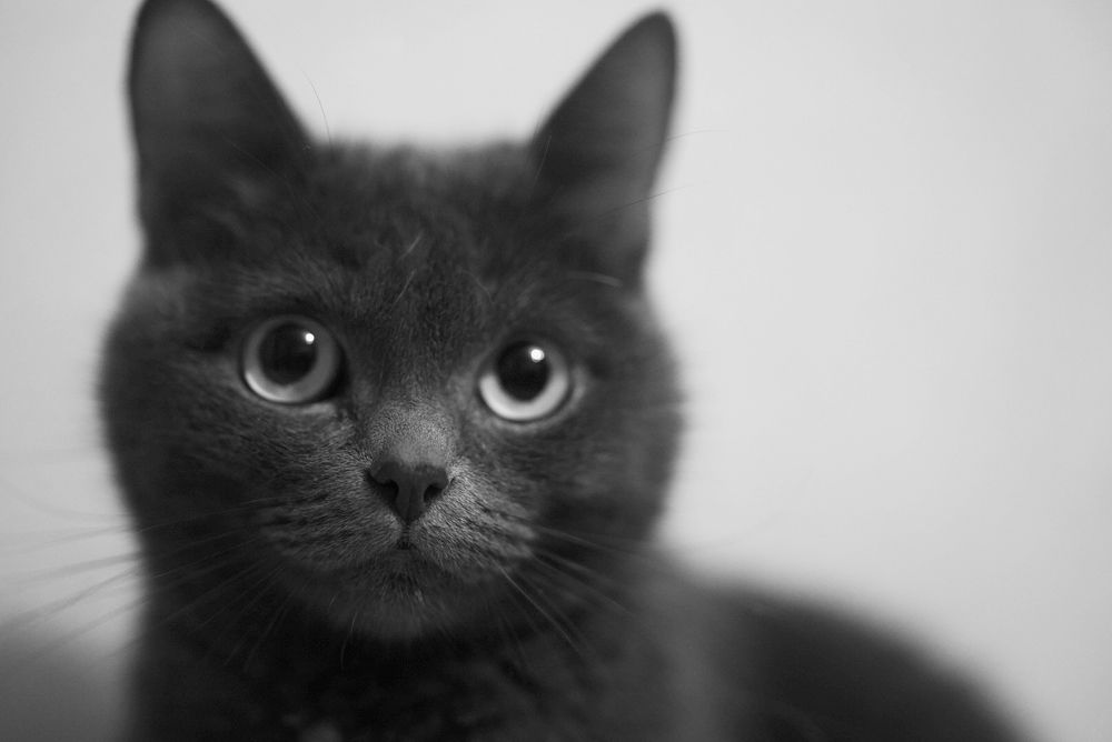 Photograph by Ольга Беспалько