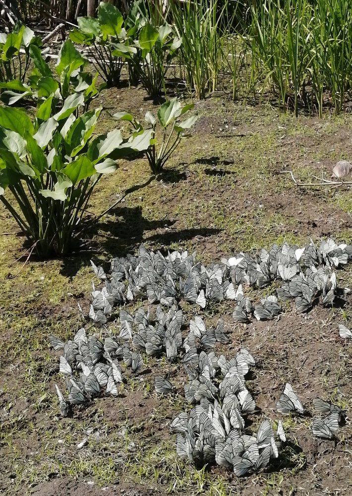 Photograph by Татьяна