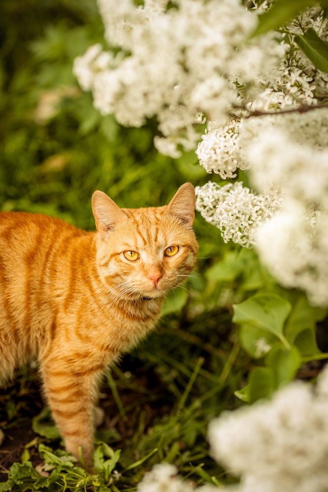 Photograph by Мария Вербицкая