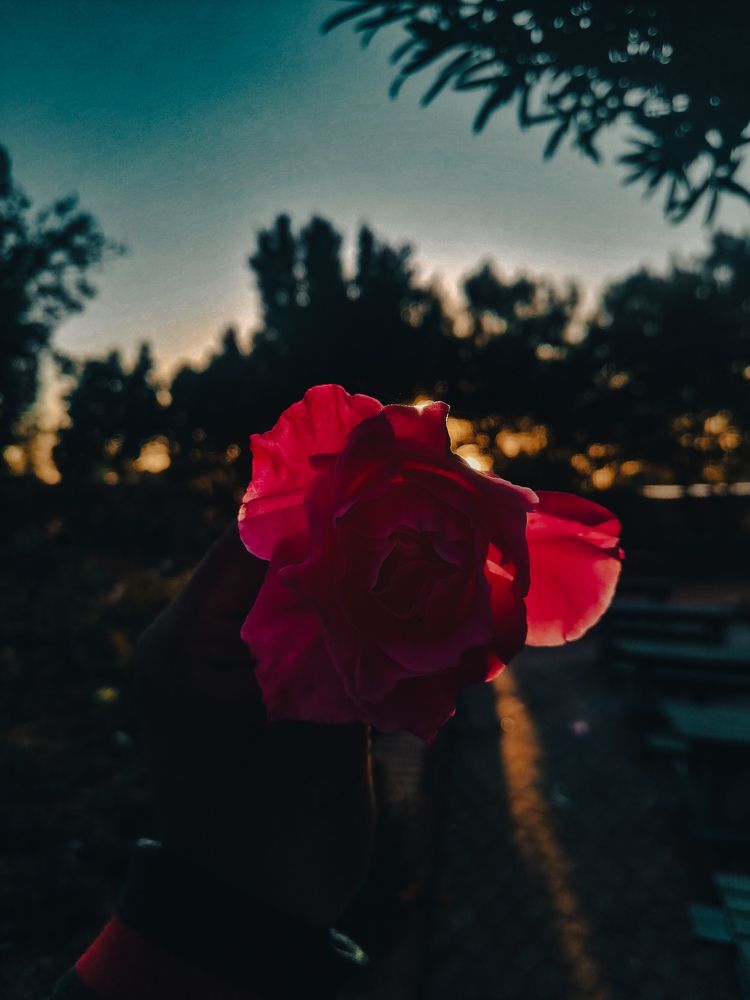 Photograph by Salmaan dada