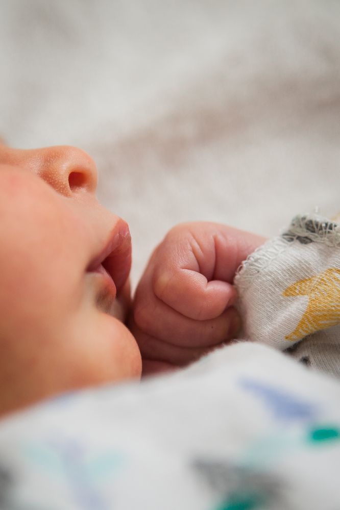 Photograph by Anna Skornyakova