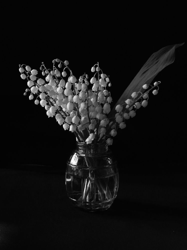 Photograph by Наталия Степанова