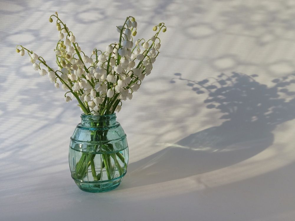 Photograph by Наталия Степанова