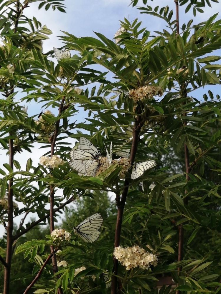 Photograph by Татьяна