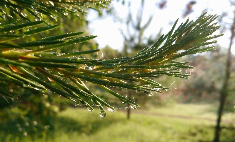 Photograph by Константин Искучеков