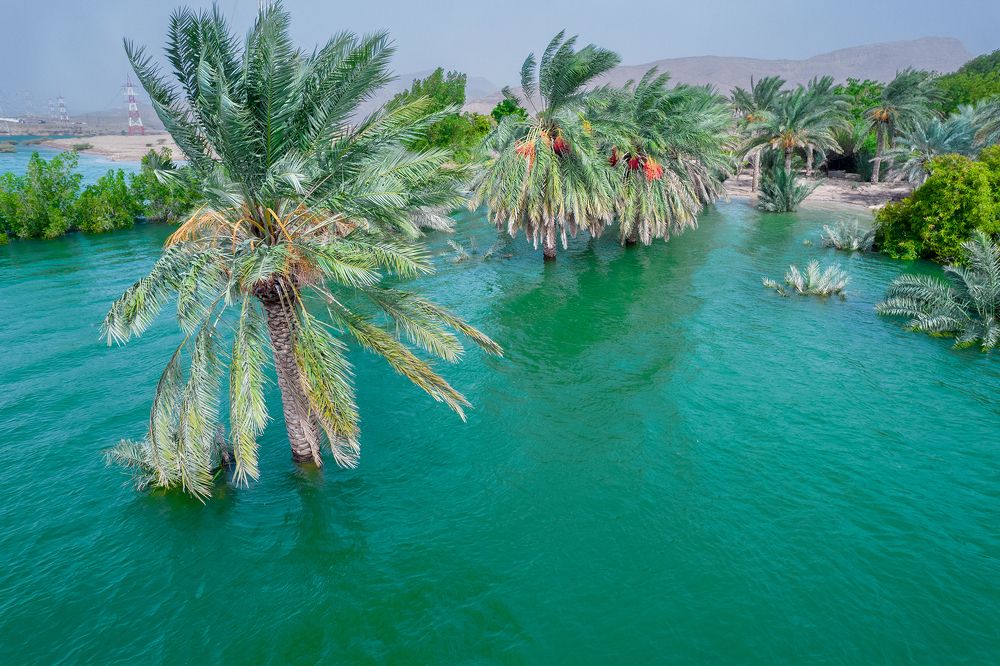 Photograph by salem sultan