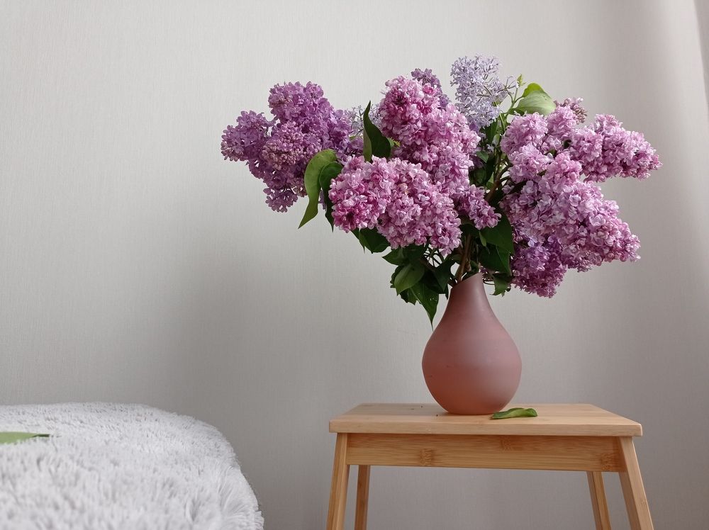 Photograph by Алевтина Орлова