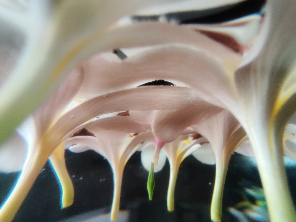 Photograph by Chetan Verma