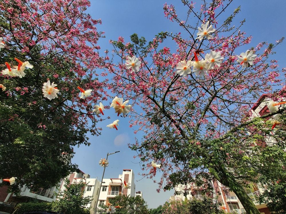 Photograph by Chetan Verma